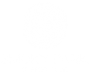 SP-logo-white